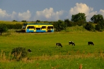 SA103-006